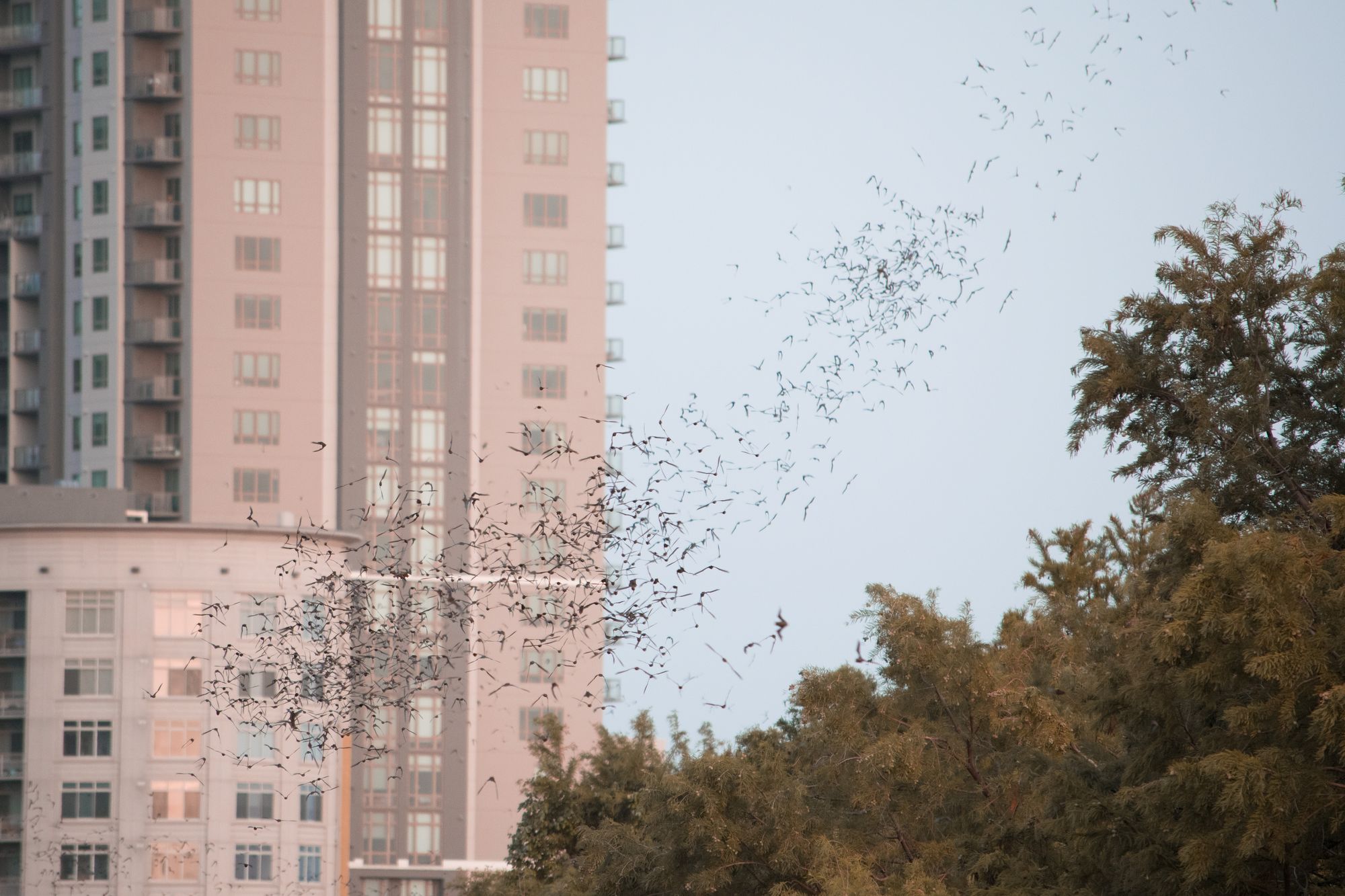 Austin, Texas
