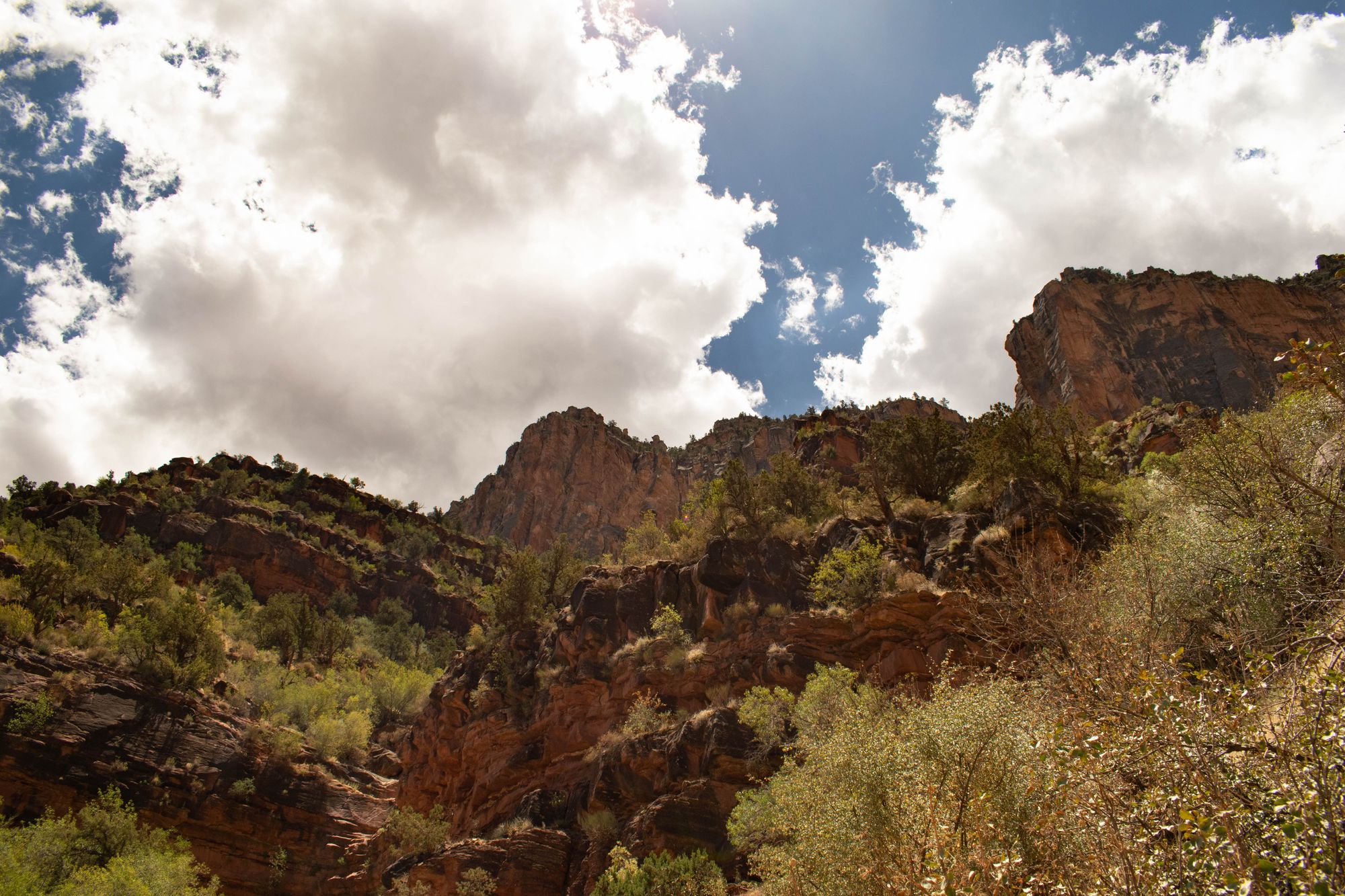 Grand Canyon National Park
