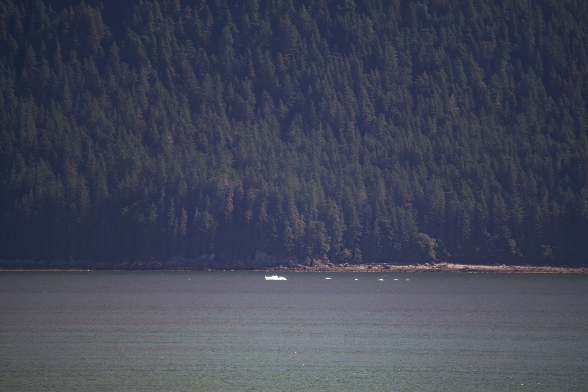 Juneau and Tracy Arm, Alaska