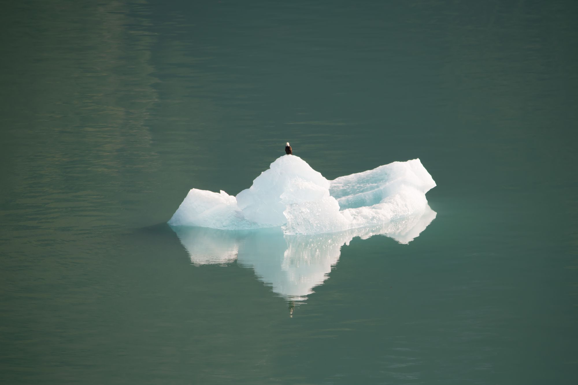 Juneau and Tracy Arm, Alaska