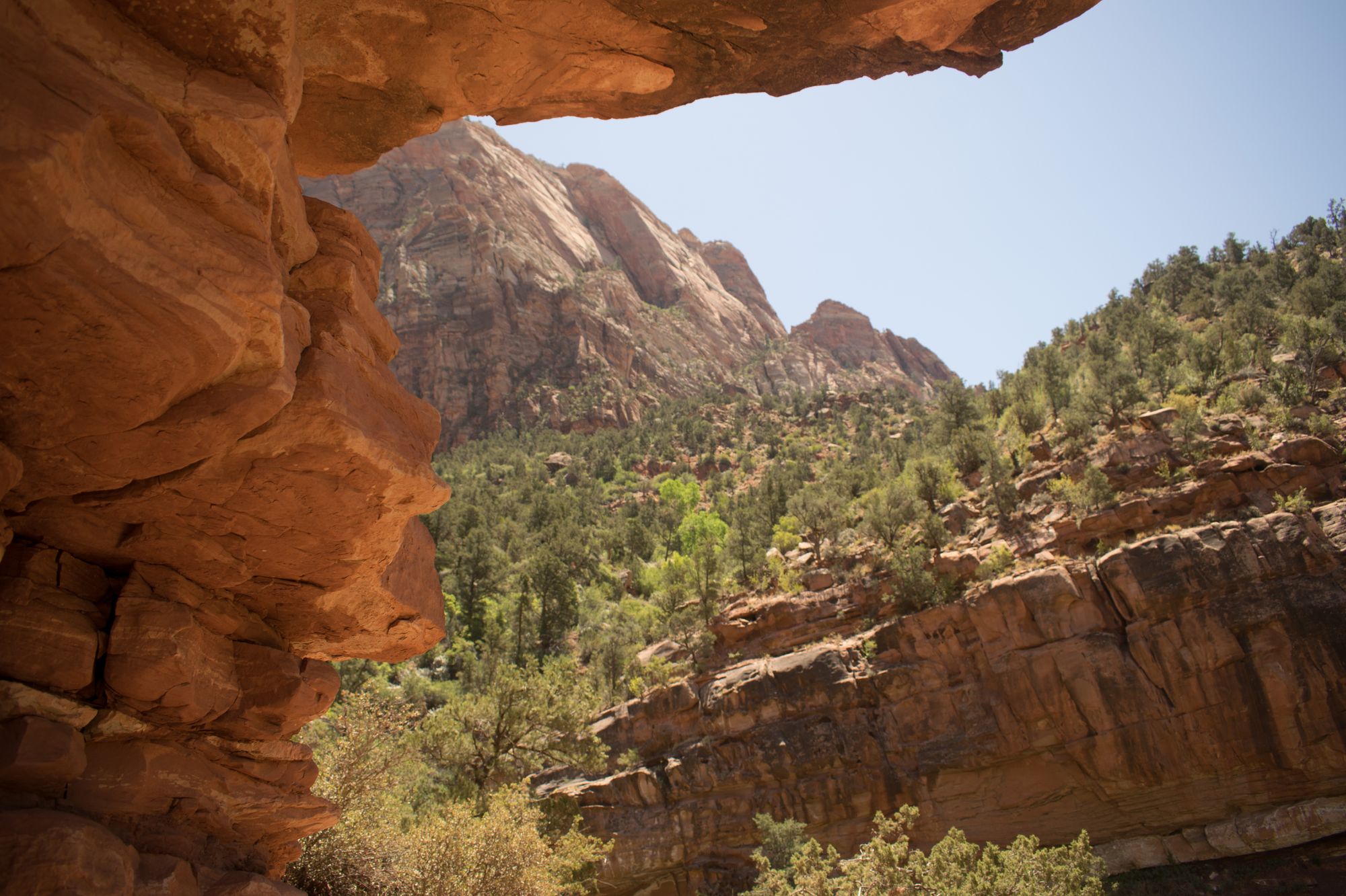 Zion National Park
