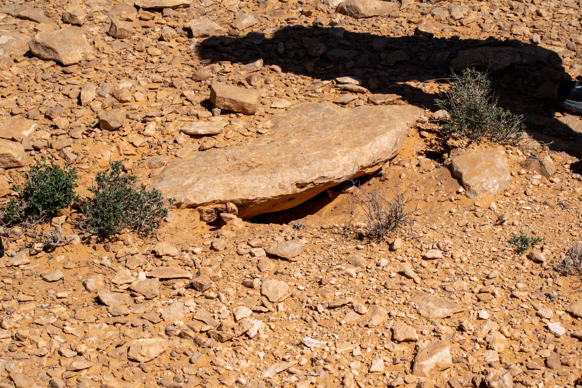 Beni Kedeche and Ksar Hallouf